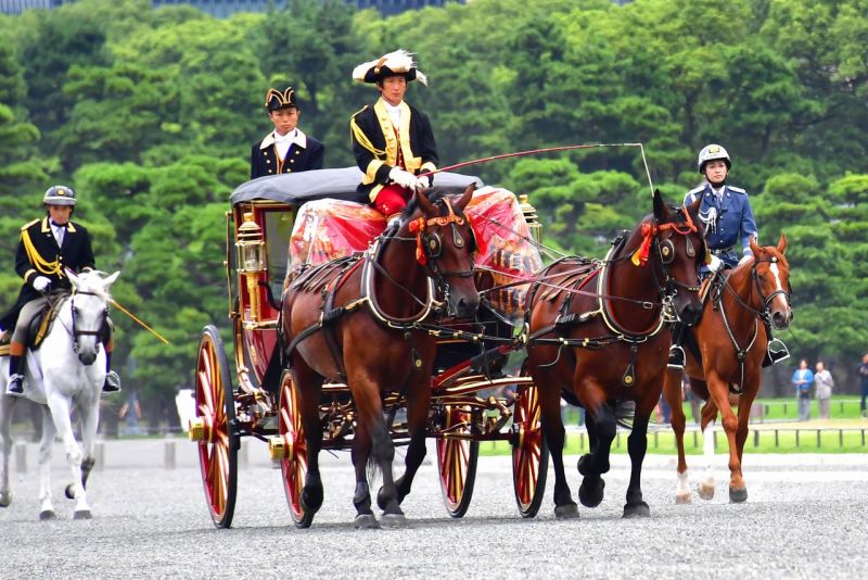 xe ngựa hộ tống năm 2019 xe ngựa hộ tống năm 2019